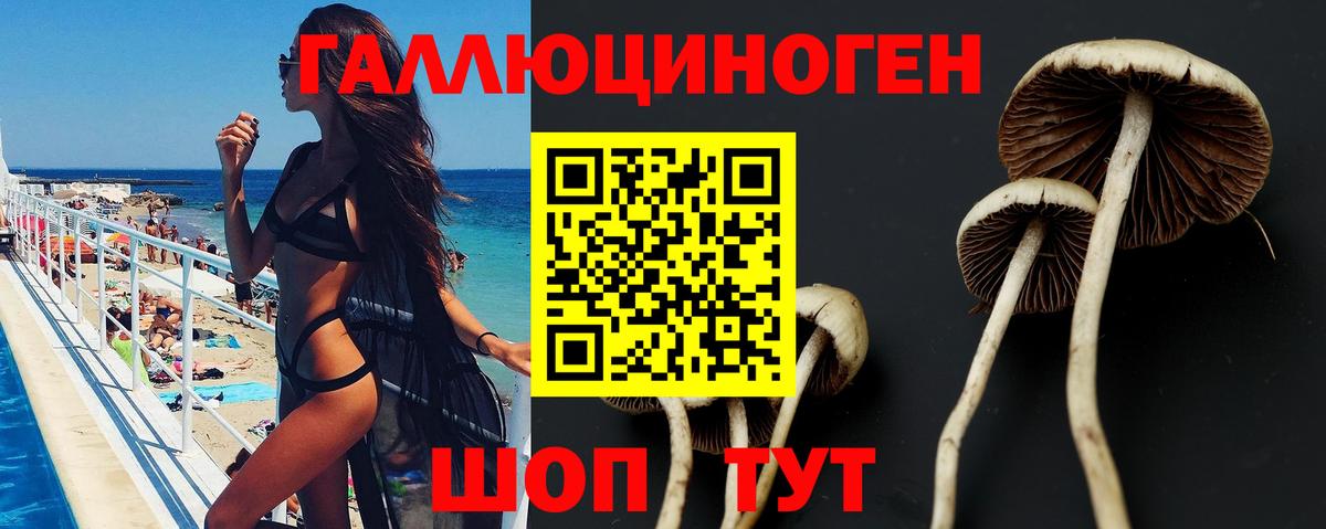 Галлюциногенные грибы мухоморы Александров